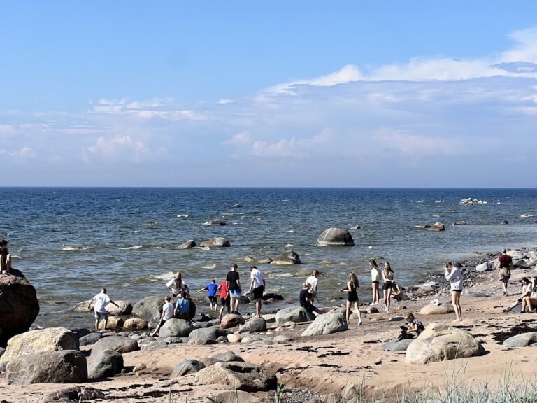 Ideaalne puhkus looduse keskel – Naissaare puhkemaja kogemus
